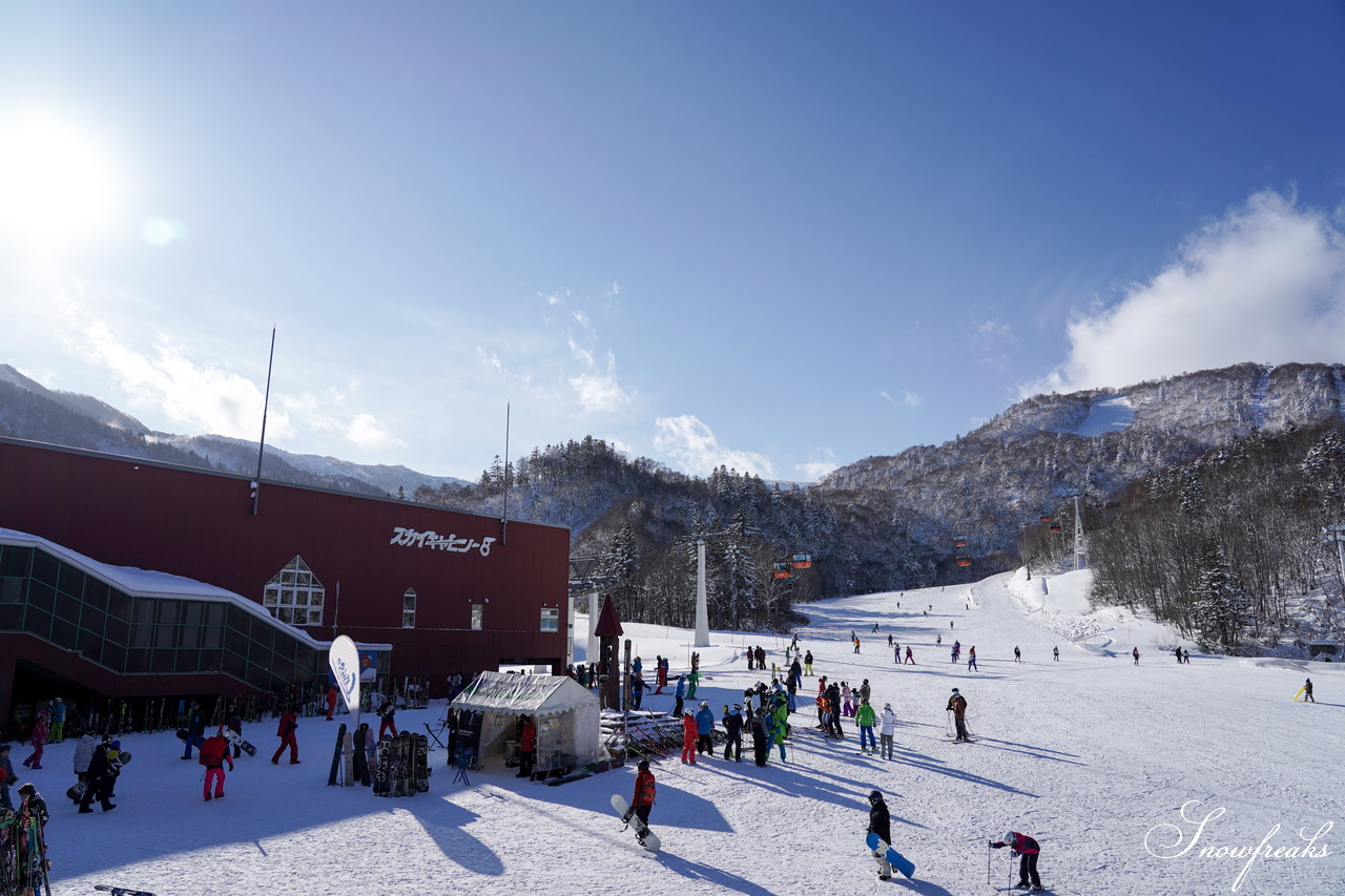 札幌国際スキー場 これぞ北海道。粉雪が降り積もったゲレンデはコンディション良好！そして、早くも全コース滑走可能です(*^^)v